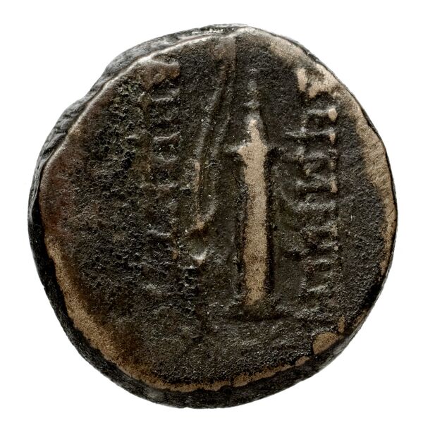 Seleucid Coins (part 2) 1914, реверс, BnF (HRC)