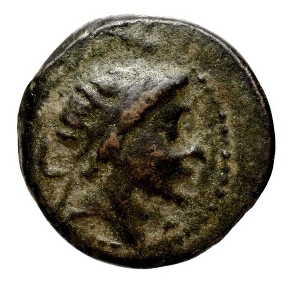 Seleucid Coins (part 1) 609, аверс, BnF (HRC)
