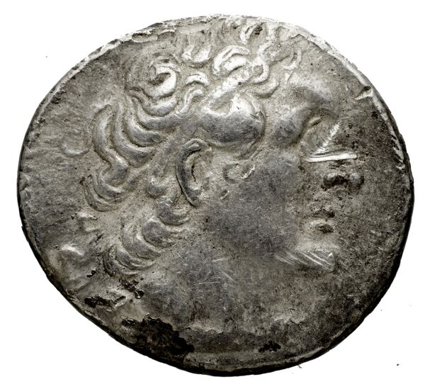 Coins of the Ptolemaic Empire Vol. I, Part 1, no. 516, аверс, BnF (HRC)