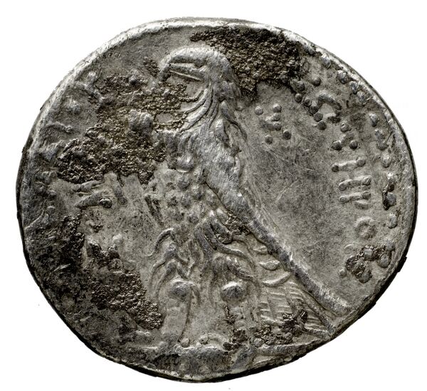 Coins of the Ptolemaic Empire Vol. I, Part 1, no. 516, реверс, BnF (HRC)