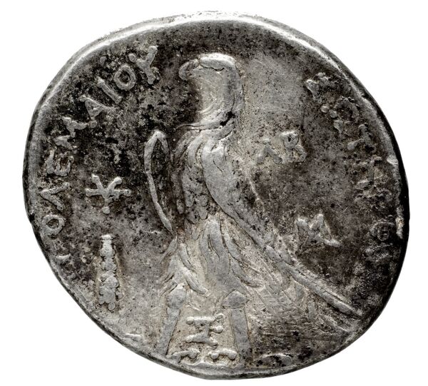Coins of the Ptolemaic Empire Vol. I, Part 1, no. 593, реверс, BnF (HRC)