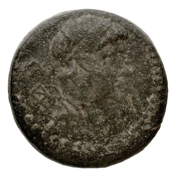 аверс Seleucid Coins (part 2) 1601