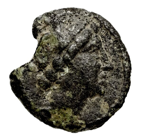 аверс Seleucid Coins (part 1) 816