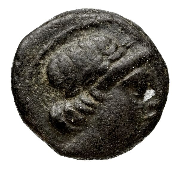 аверс Seleucid Coins (part 1) 1055.5a