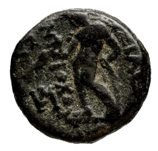 реверс Seleucid Coins (part 1) 1055.5a