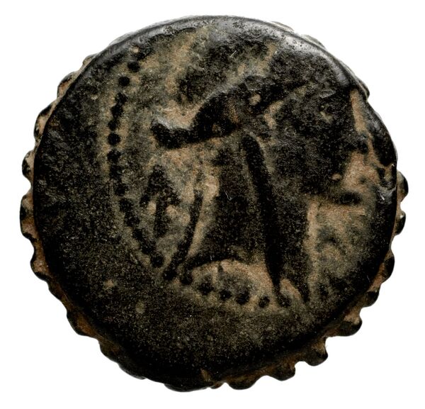 аверс Seleucid Coins (part 2) 1315.6c
