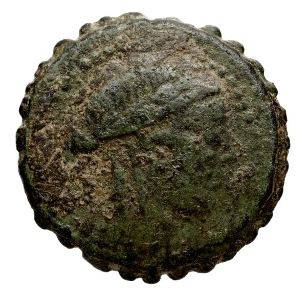 Seleucid Coins (part 2) 1315.6p, аверс, BnF (HRC)