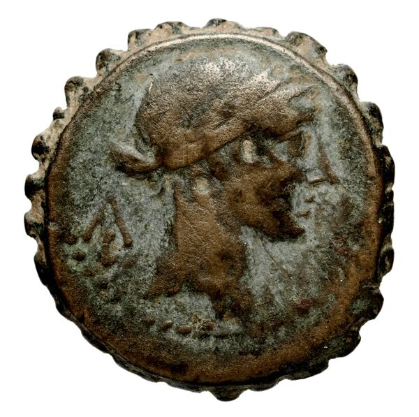 Seleucid Coins (part 2) 1315.6p, аверс, BnF (HRC)