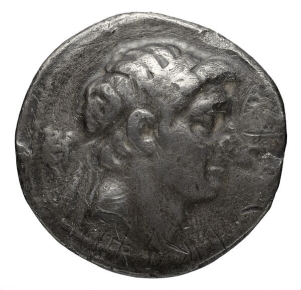 Seleucid Coins (part 2) 1690.7, аверс, bnf-hrc