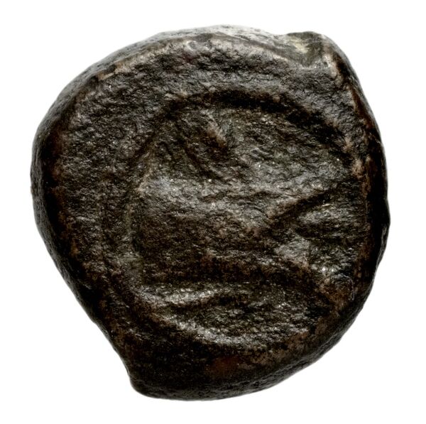 Seleucid Coins (part 2) 2069a, аверс, BnF (HRC)
