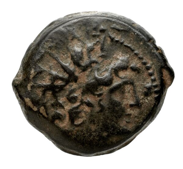 Seleucid Coins (part 2) 2263, аверс, bnf-hrc