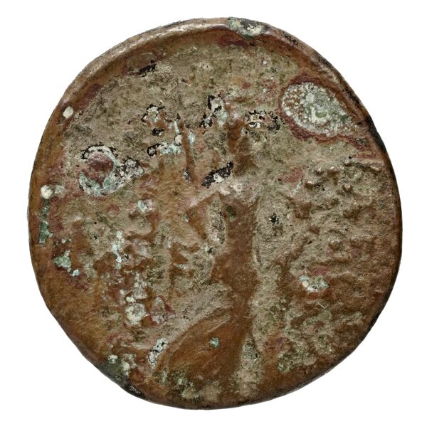 реверс Seleucid Coins (part 2) 2353.1a