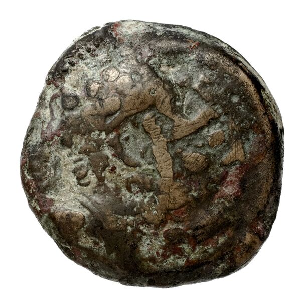 Seleucid Coins (part 2) 2368, аверс, bnf-hrc