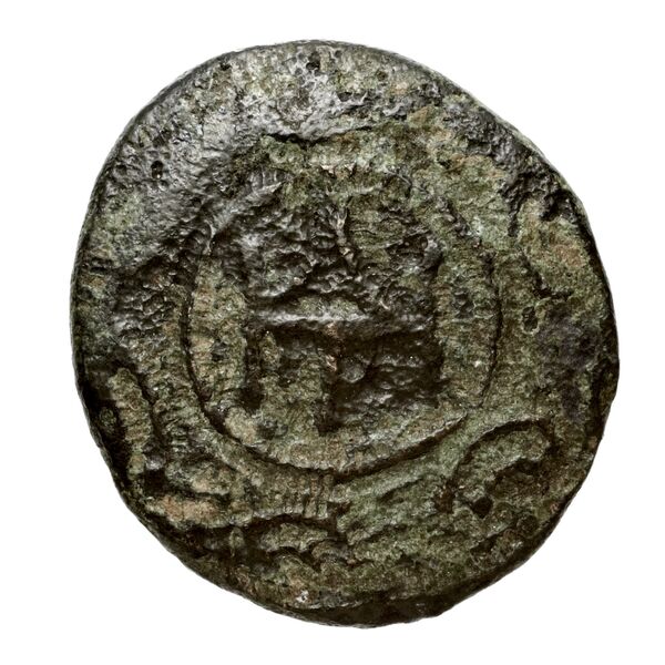 Newell Demetrius Poliorcetes, no. 125, аверс, bnf-hrc