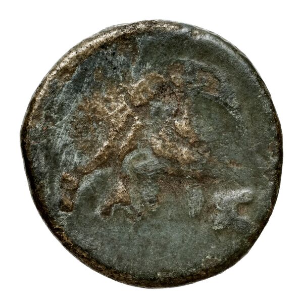 Newell Demetrius Poliorcetes, no. 125, реверс, bnf-hrc