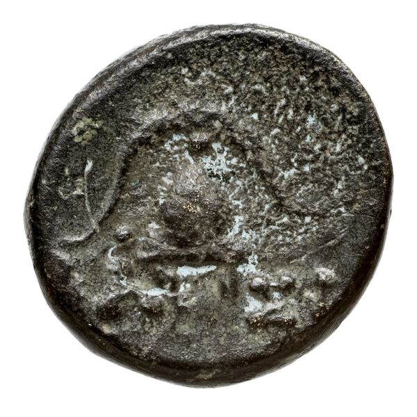 Newell Demetrius Poliorcetes, no. 125, реверс, bnf-hrc
