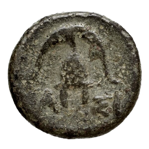 Newell Demetrius Poliorcetes, no. 125, реверс, bnf-hrc
