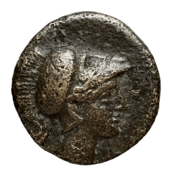 Newell Demetrius Poliorcetes, no. 163, аверс, bnf-hrc