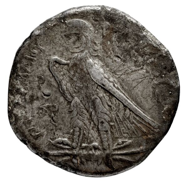 Coins of the Ptolemaic Empire Vol. I, Part 1, no. 168, реверс, bnf-hrc