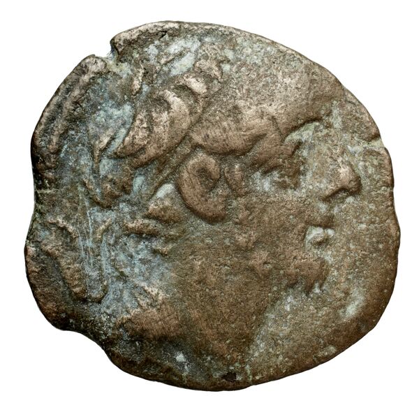 аверс Seleucid Coins (part 2) 2364.1