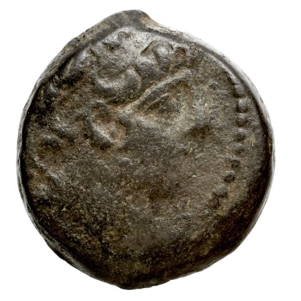 Seleucid Coins (part 2) 2364.2, аверс, bnf-hrc