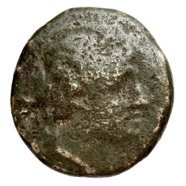 аверс Seleucid Coins (part 1) 575.1b