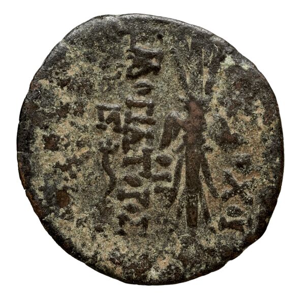 реверс Seleucid Coins (part 2) 2364.1c