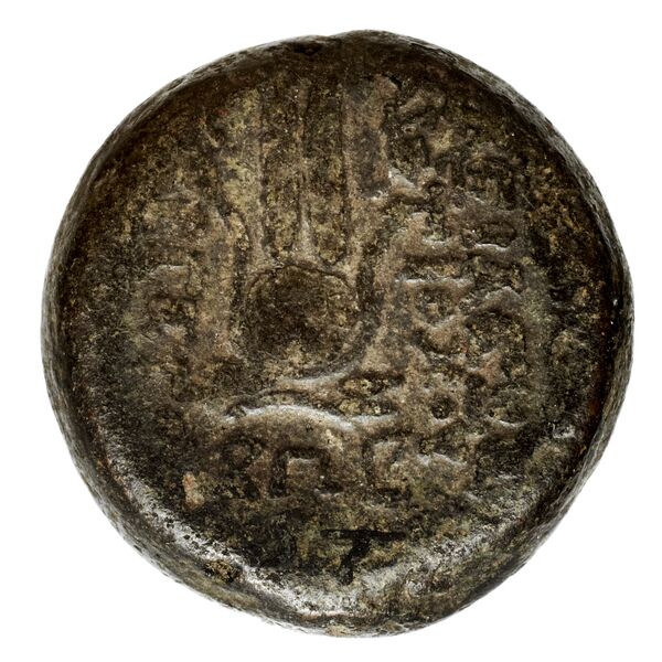 реверс Seleucid Coins (part 2) 2067