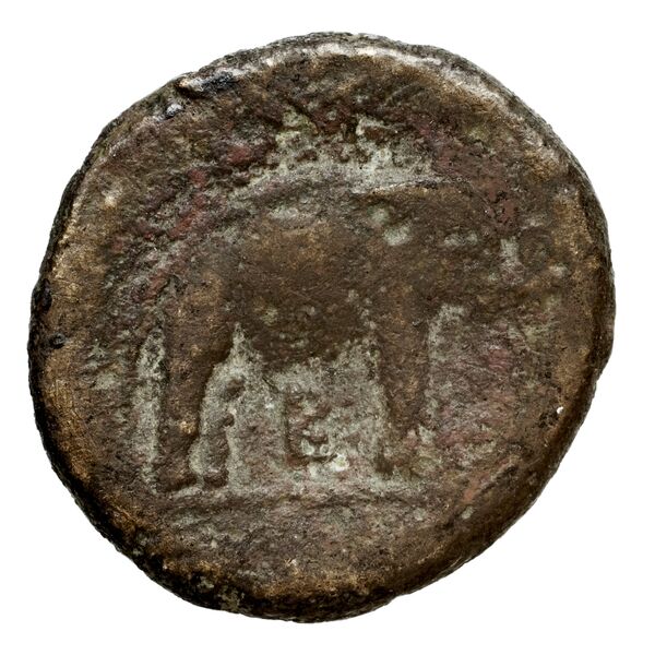 реверс Seleucid Coins (part 1) 128a
