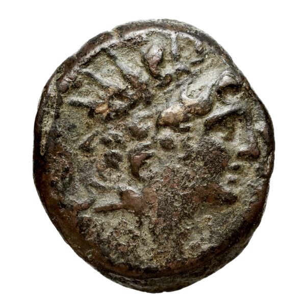 аверс Seleucid Coins (part 2) 2263
