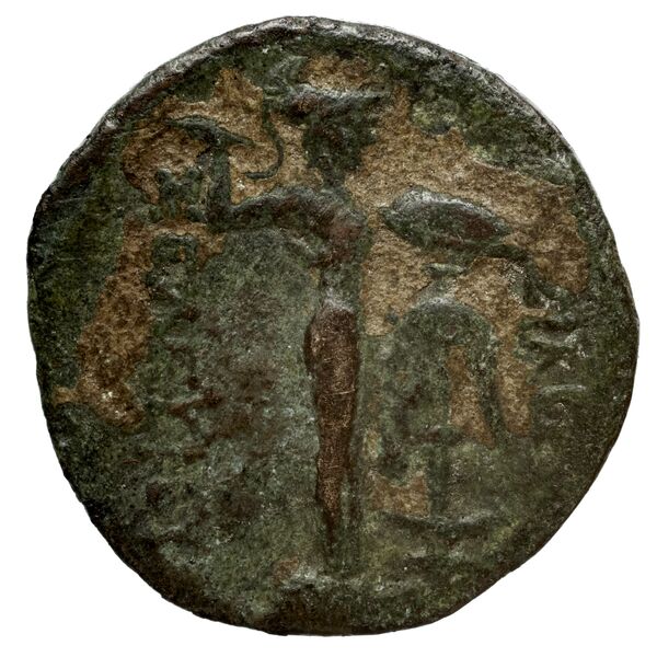 реверс Seleucid Coins (part 1) 15.1