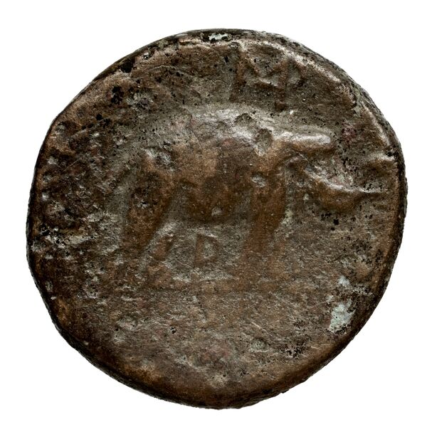 реверс Seleucid Coins (part 1) 128b