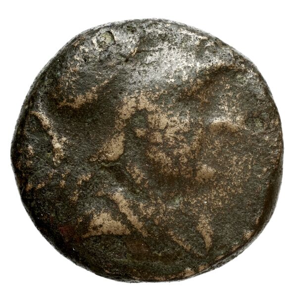 аверс Seleucid Coins (part 1) 713.1a