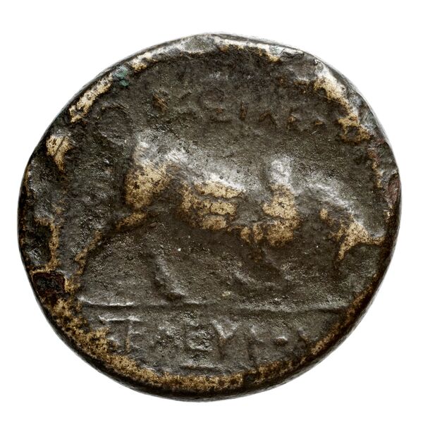 реверс Seleucid Coins (part 1) 21.2b