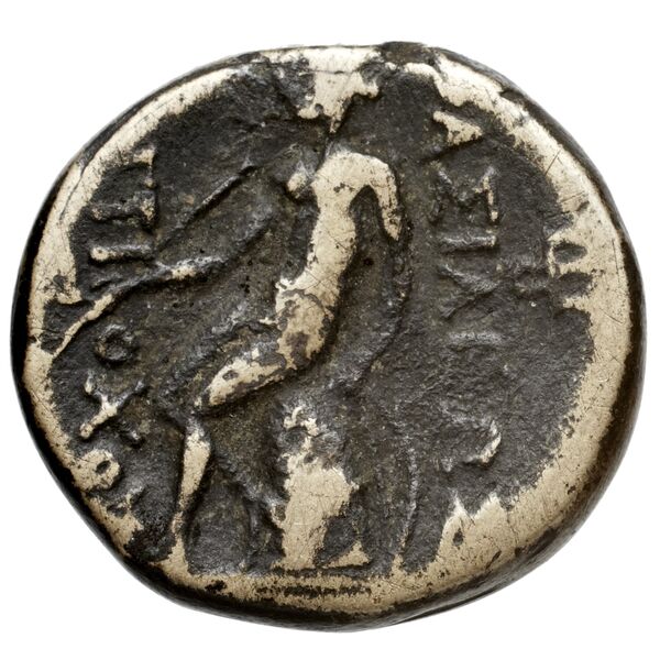 реверс Seleucid Coins (part 1) 351.1a
