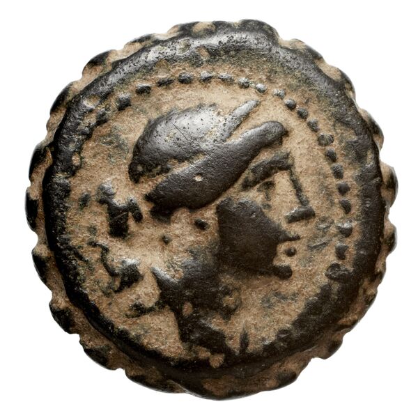 аверс Seleucid Coins (part 2) 1645