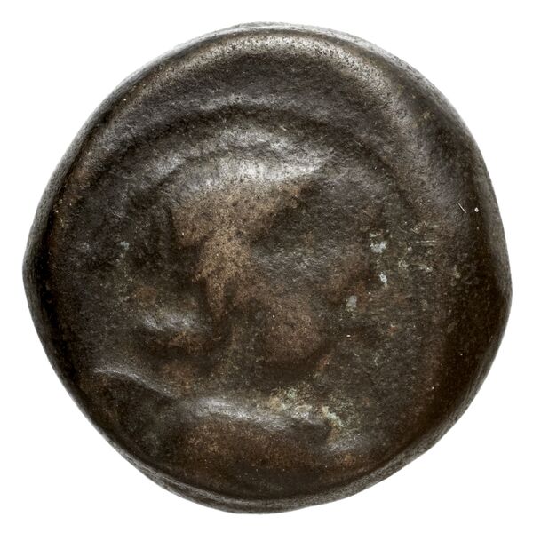 аверс Seleucid Coins (part 2) 2067.10