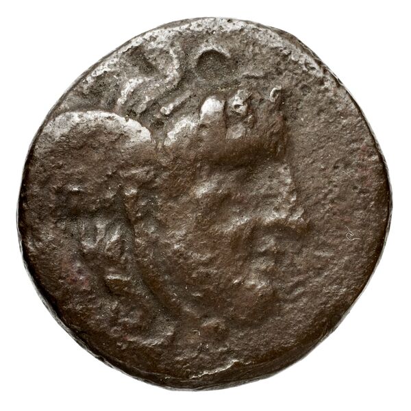 аверс Seleucid Coins (part 1) 21.2