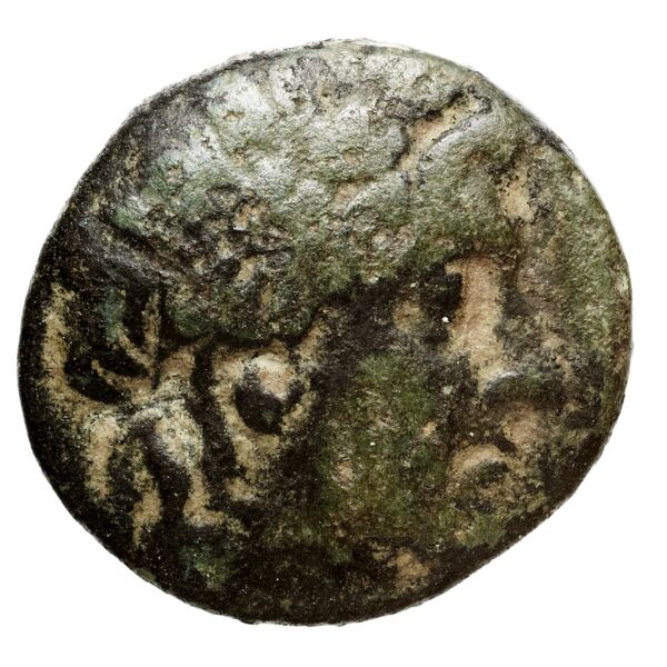 аверс Seleucid Coins (part 1) 522