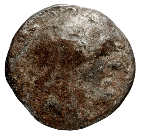 Coins of the Ptolemaic Empire Vol. I, Part 1, no. 142, аверс, bnf-hrc