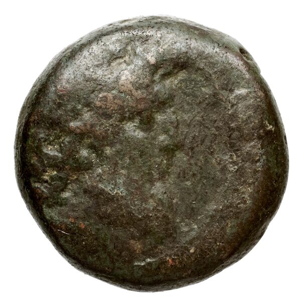 Seleucid Coins (part 2) 2183, аверс, bnf-hrc