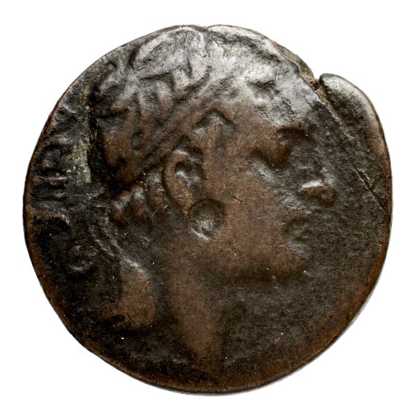аверс Seleucid Coins (part 2) 1463.1