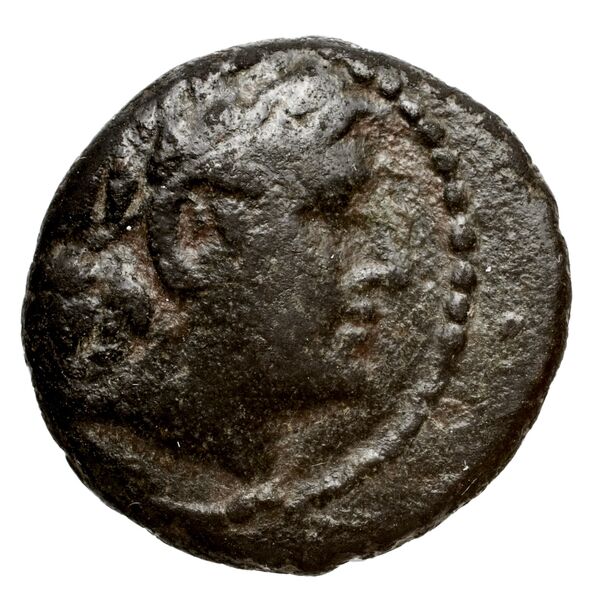 аверс Seleucid Coins (part 1) 1049
