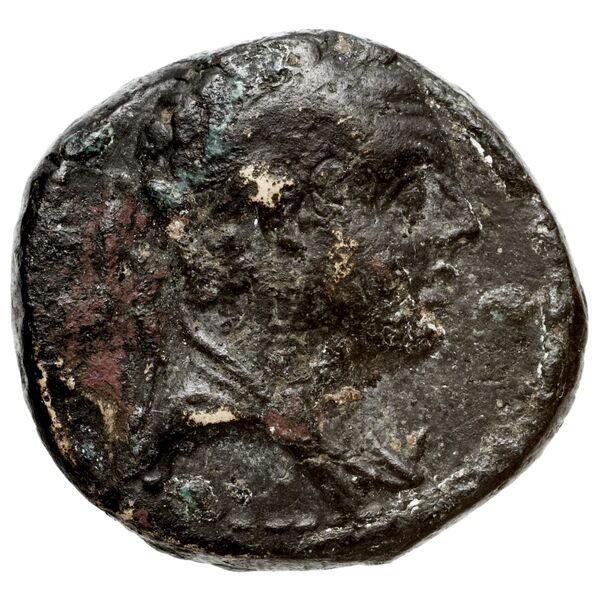 аверс Seleucid Coins (part 2) 1430