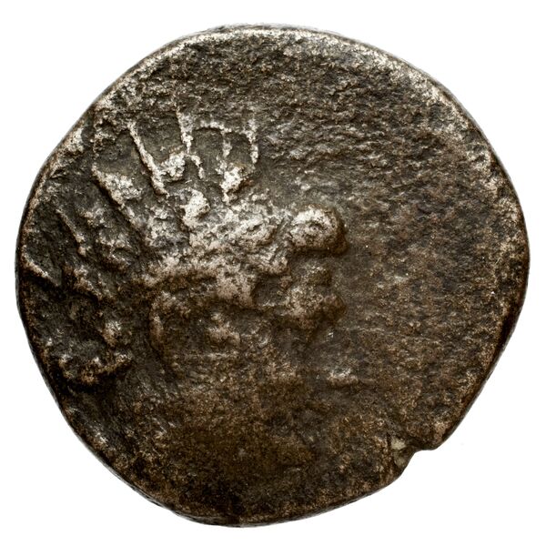 аверс Seleucid Coins (part 2) 1437