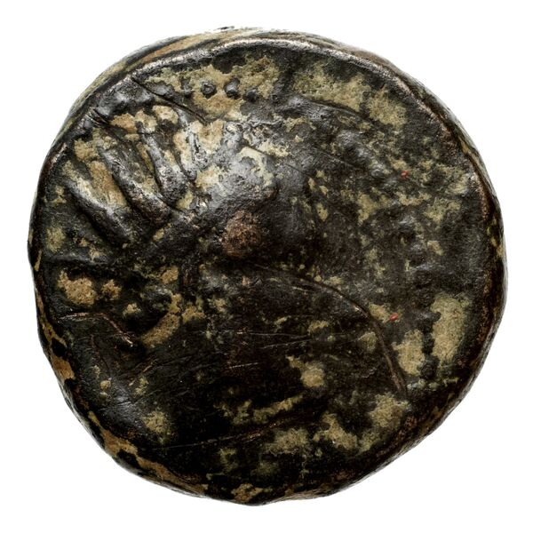 аверс Seleucid Coins (part 2) 1410