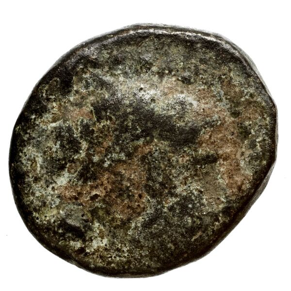 аверс Seleucid Coins (part 2) 1440