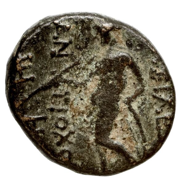 реверс Seleucid Coins (part 2) 1440