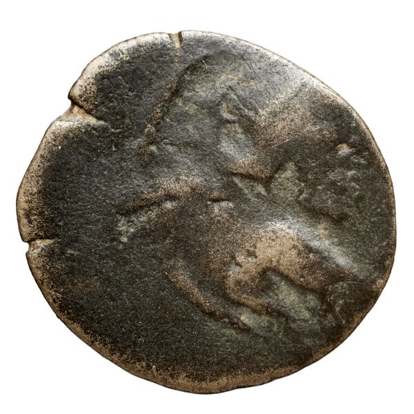 obverse Seleucid Coins (part 2) 2067.3b