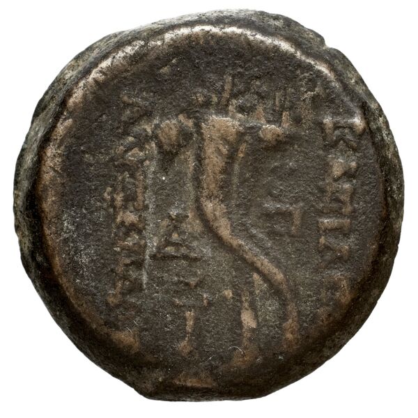 реверс Seleucid Coins (part 2) 2237.1a